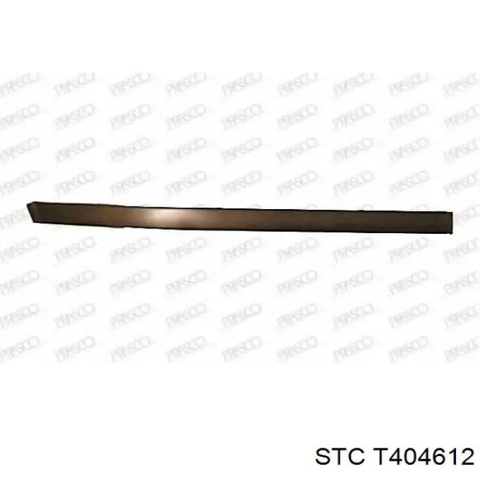 Купити T404612 STC Щуп рівня олії