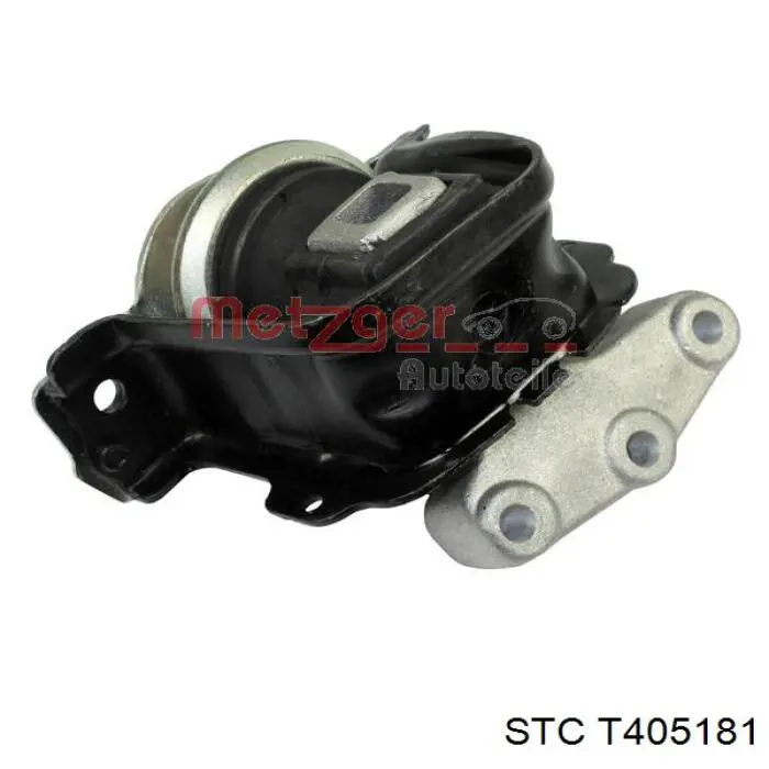 T405181 STC Права подушка мотора