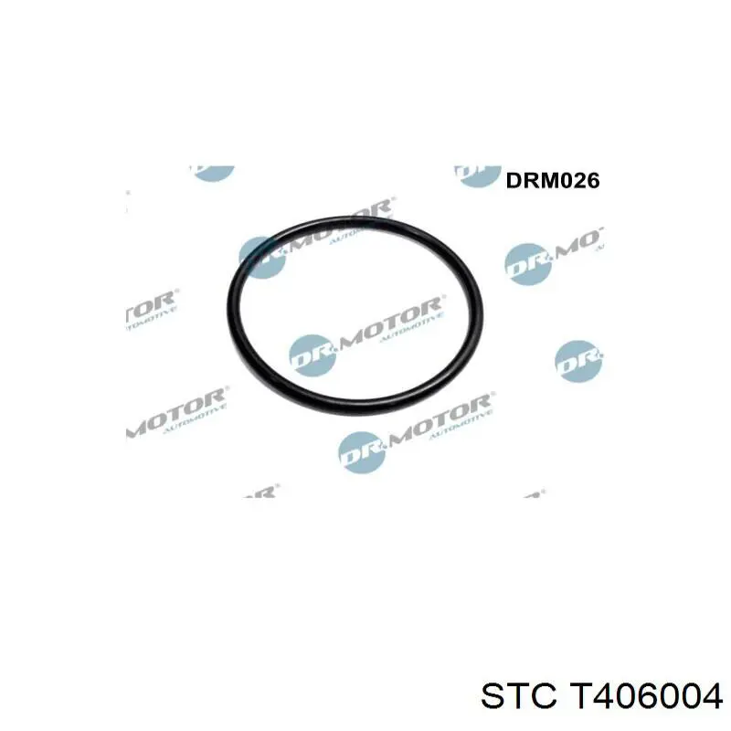 Кронштейн повітряного фільтра T406004 STC