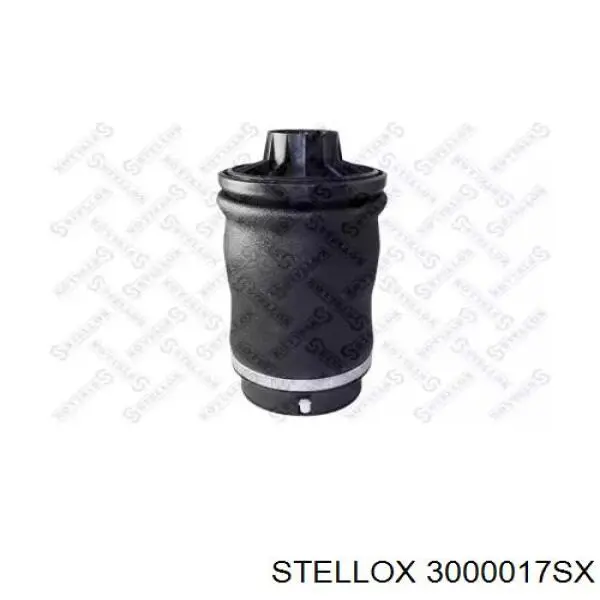 Пневморессора задня Denckermann DSA115G ціна, від 87.07 USD