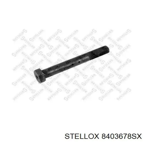 Палець сережки задньої ресори 5010130738 Renault (RVI)