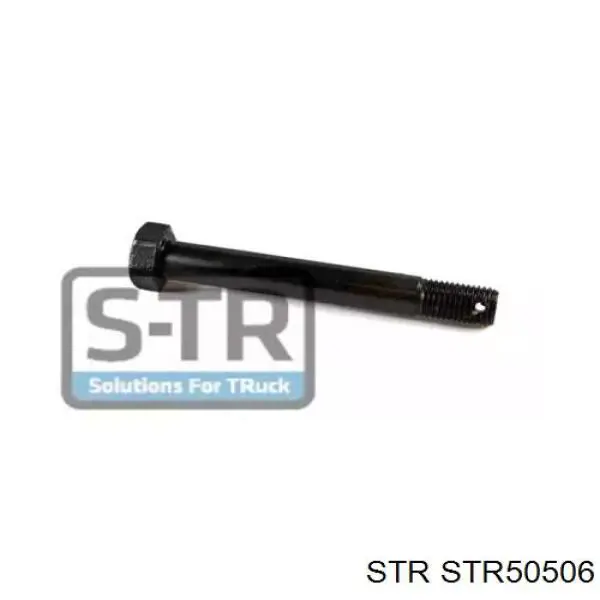 STR50506 STR Палець сережки задньої ресори