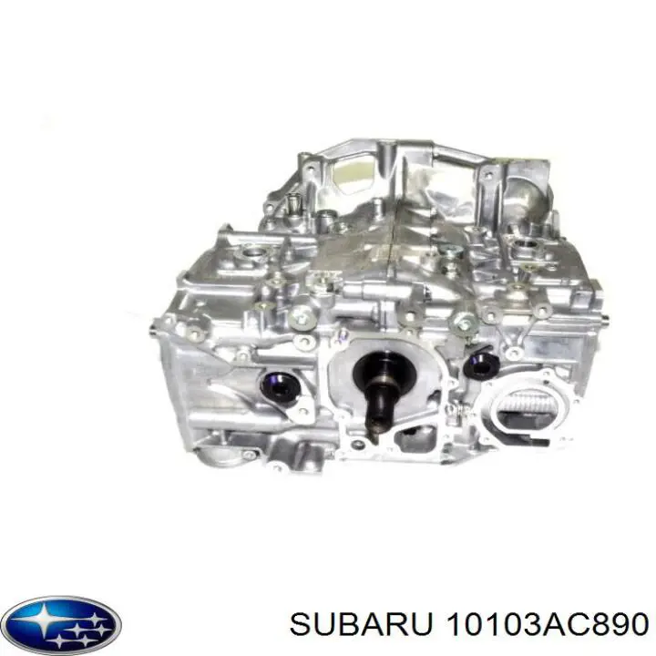  10103AC890 Subaru