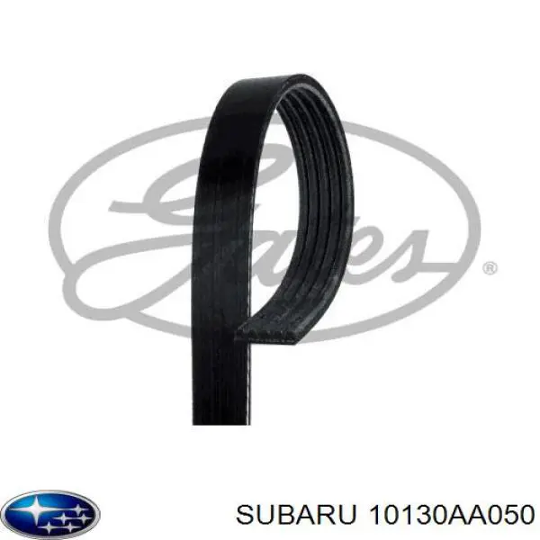 10130AA050 Subaru Поліклиновий ремінь