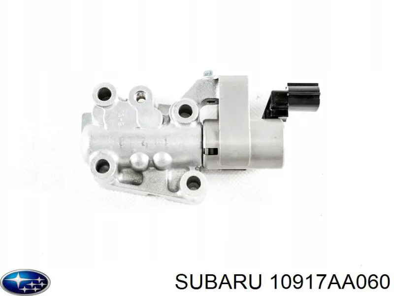  10917AA060 Subaru