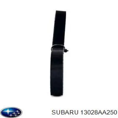 13028AA250 Subaru Ремінь ГРМ, комплект