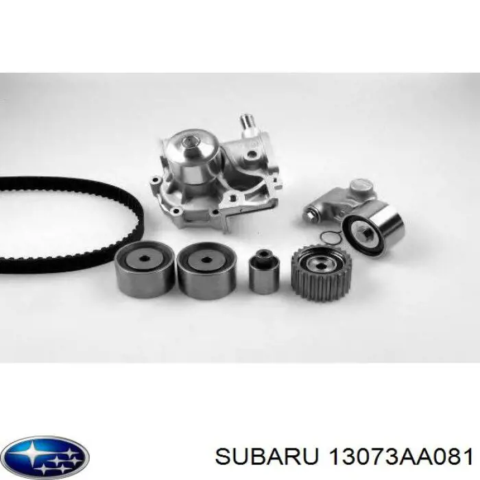 Купити 13073AA081 Subaru Ролик паразитний ГРМ