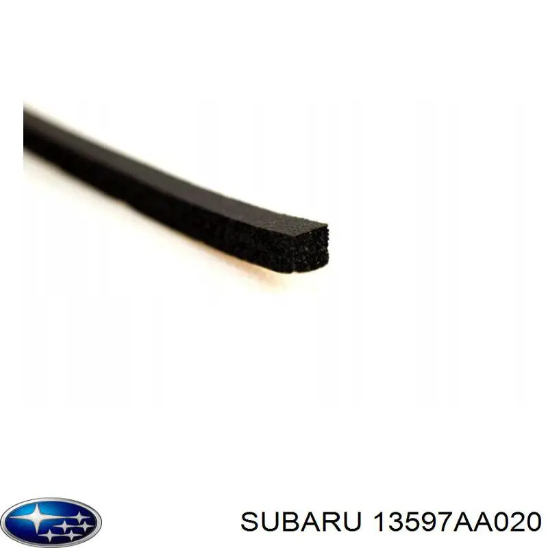 13597AA020 Subaru 