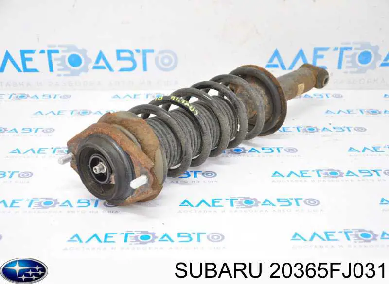 Купити 20365FJ031 Subaru Стійка амортизатора задня