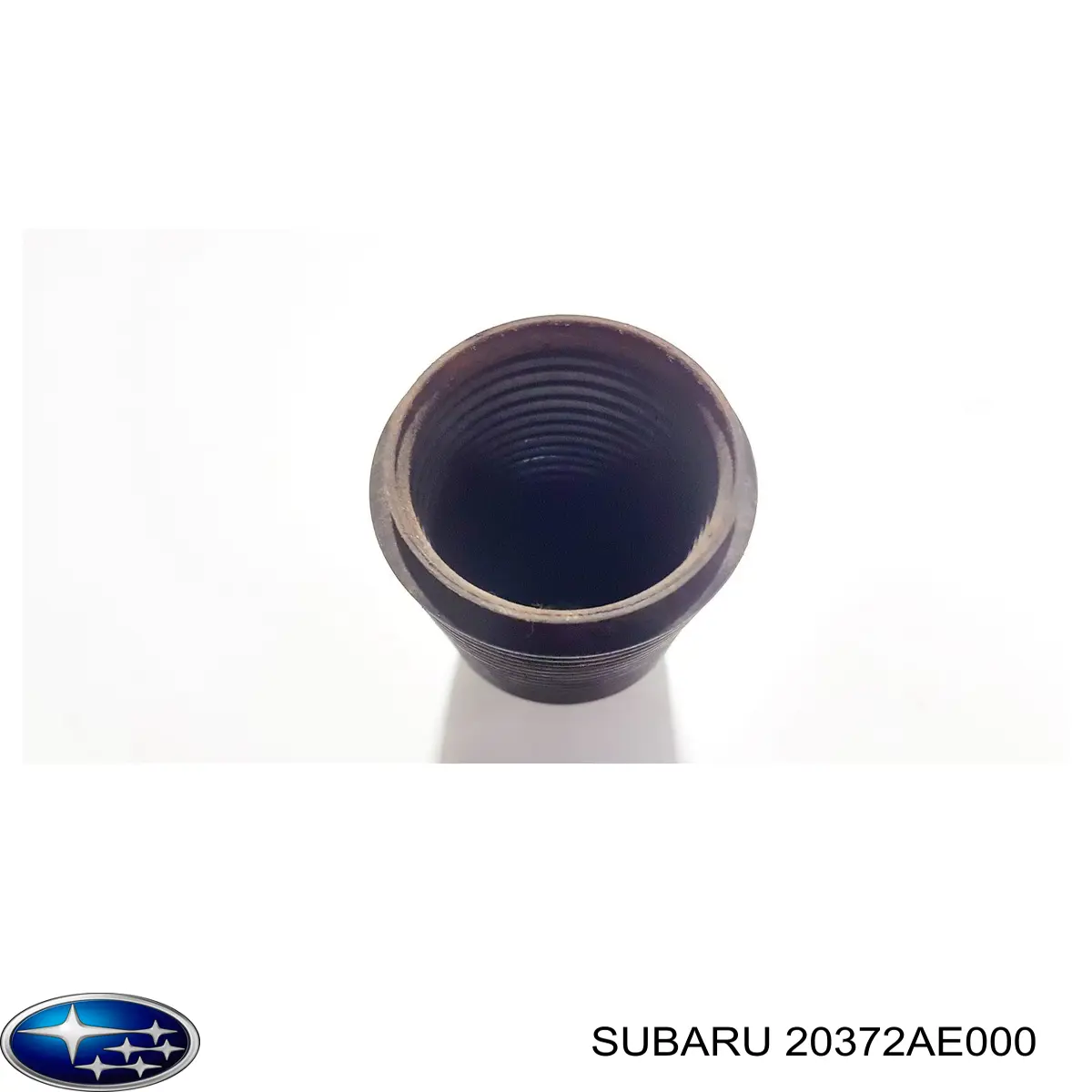 Пильник амортизатора заднього Subaru Legacy 4 (B13) (Субару Легасі)