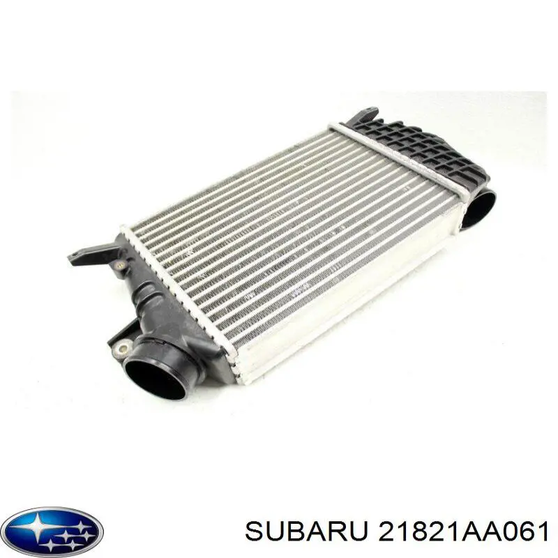 Купити 21821AA061 Subaru 