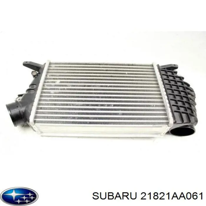  Subaru 21821AA061