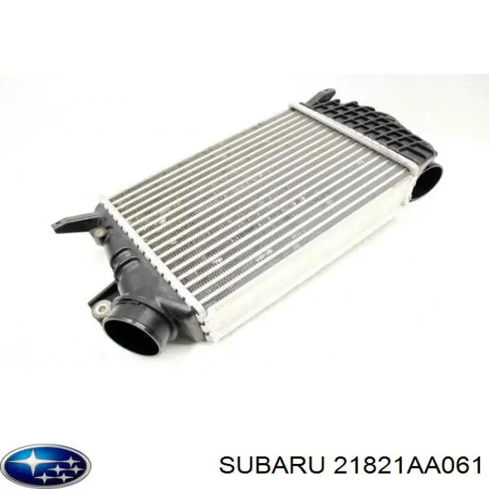 21821AA061 Subaru 