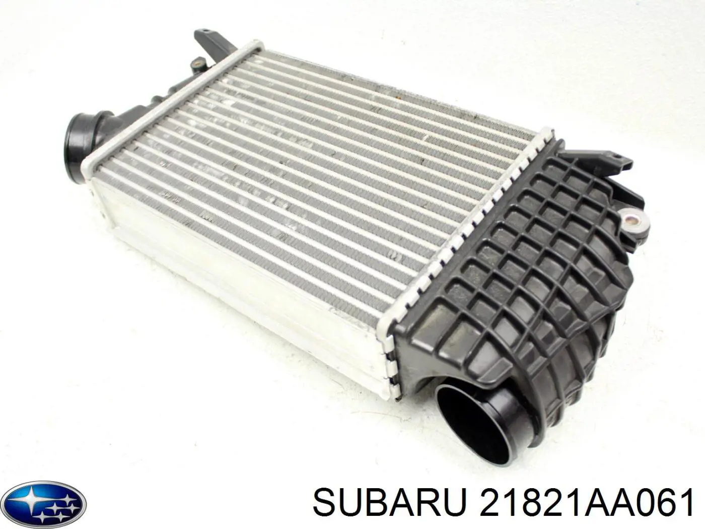  21821AA061 Subaru