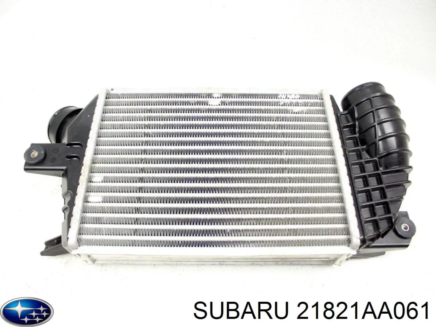 21821AA061 Subaru 