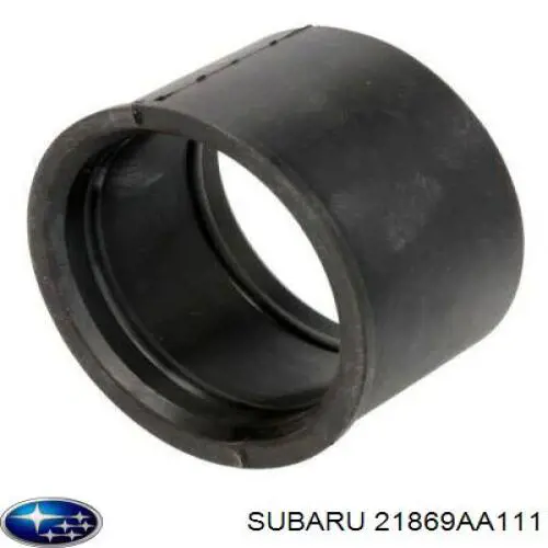 21869AA111 Subaru 
