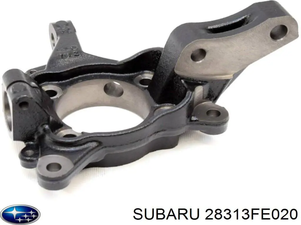 28313FE020 Subaru 