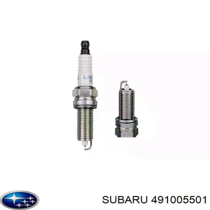 491005501 Subaru кришка розподільника запалювання/трамблера