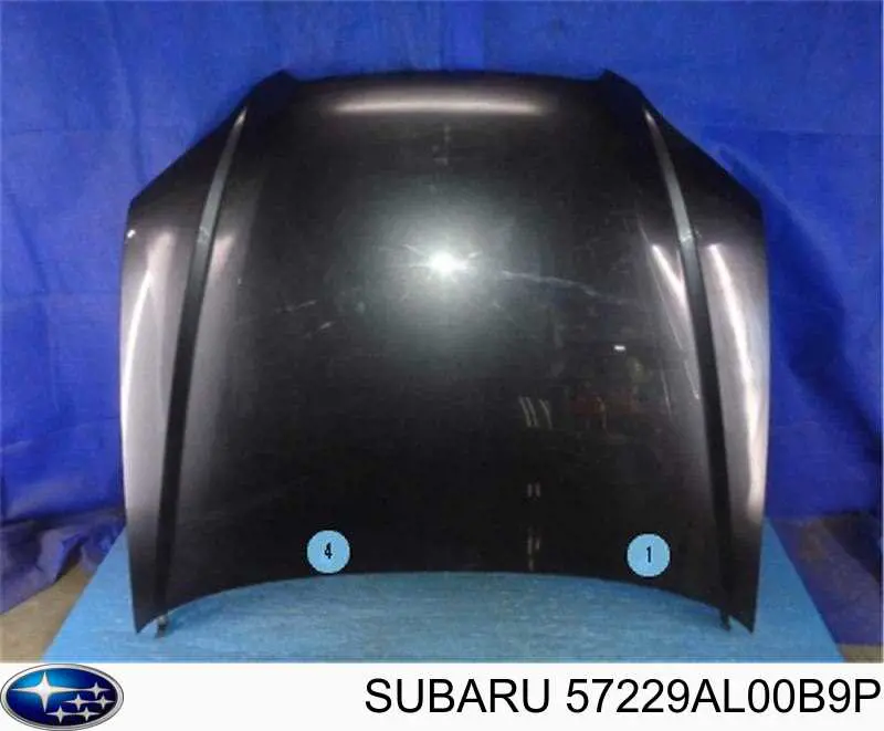 57229AL00B9P Subaru капот