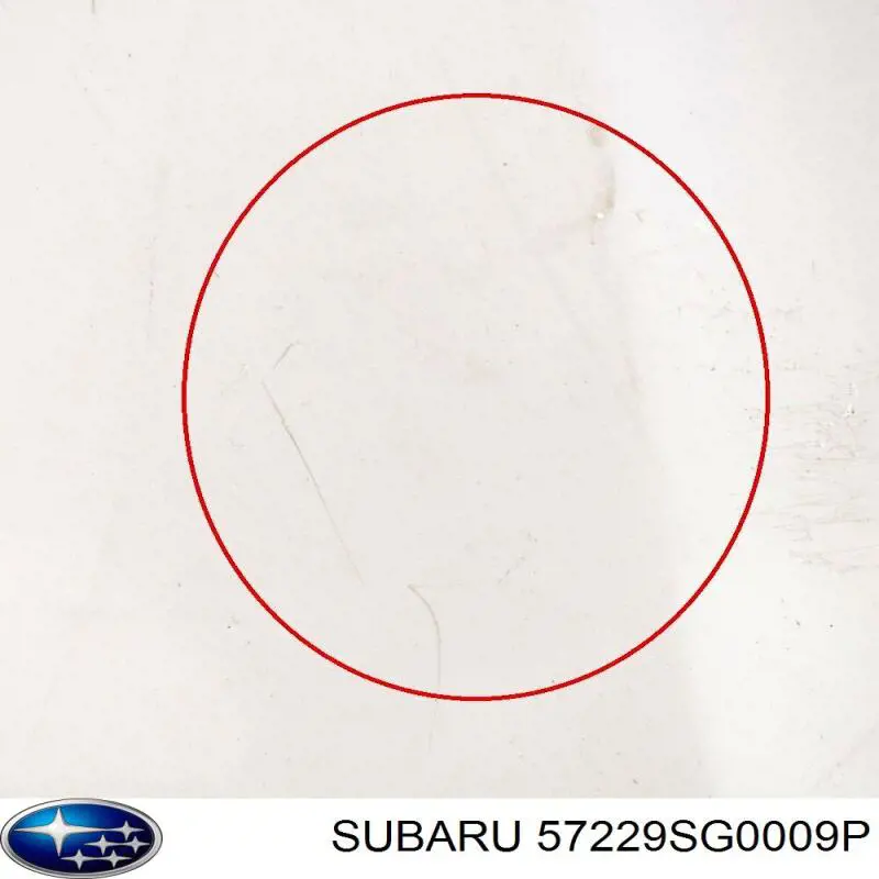 Капот FPS 6735280 ціна, від 162.74 USD