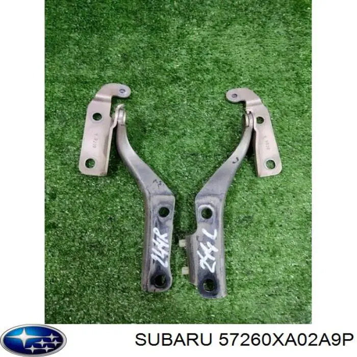 57260XA02A9P Subaru Завіс капота, правий