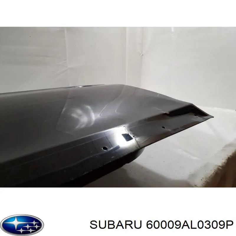 60009AL0309P Subaru 