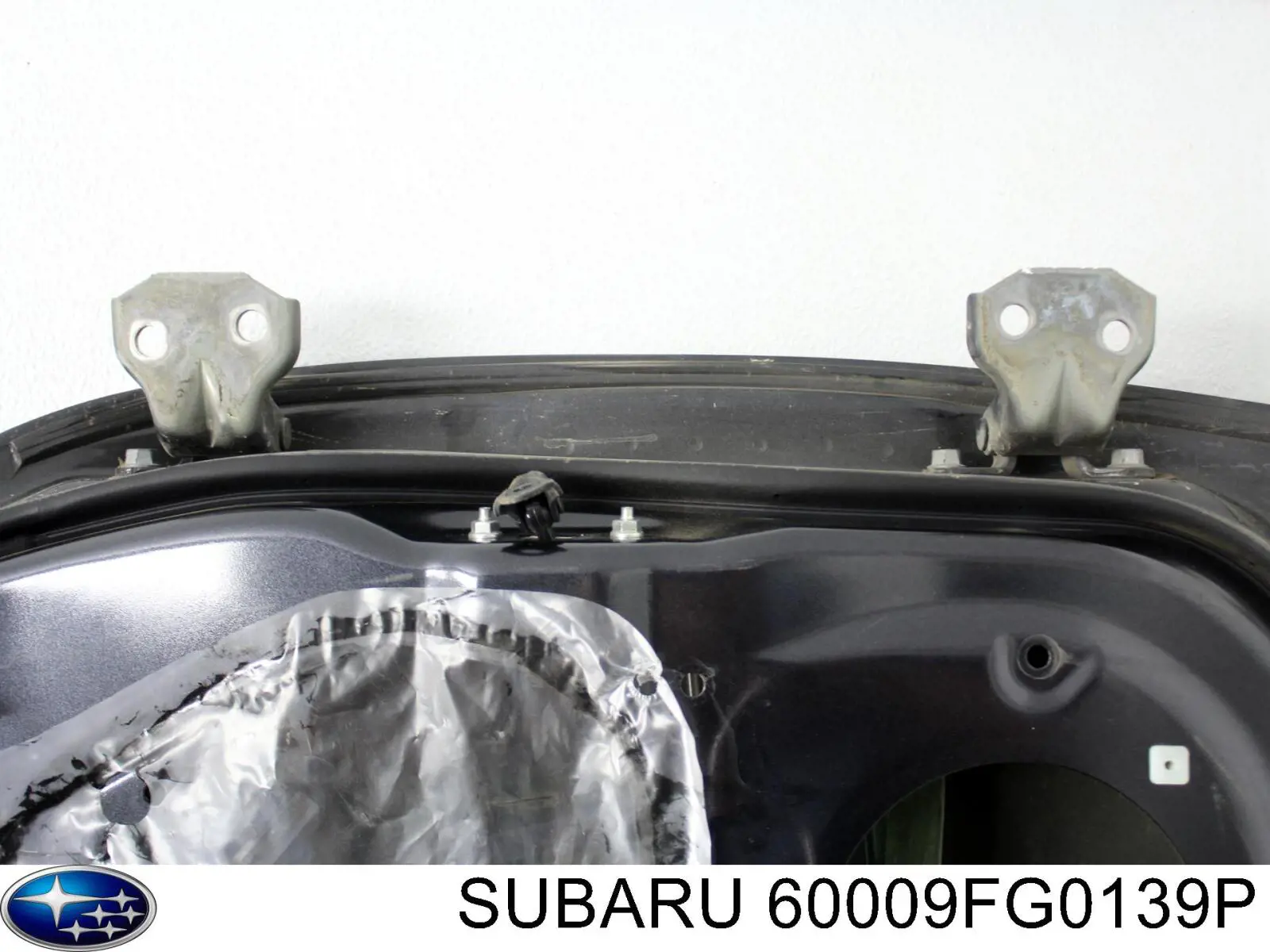 Купити 60009FG0139P Subaru Двері кабіни