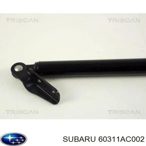 Купити 60311AC020 Subaru Амортизатор двері багажника