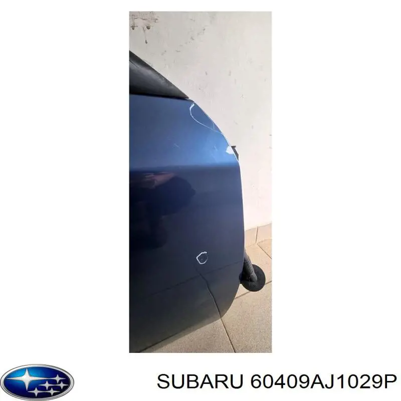 Купити 60409AJ1029P Subaru Двері задні, праві