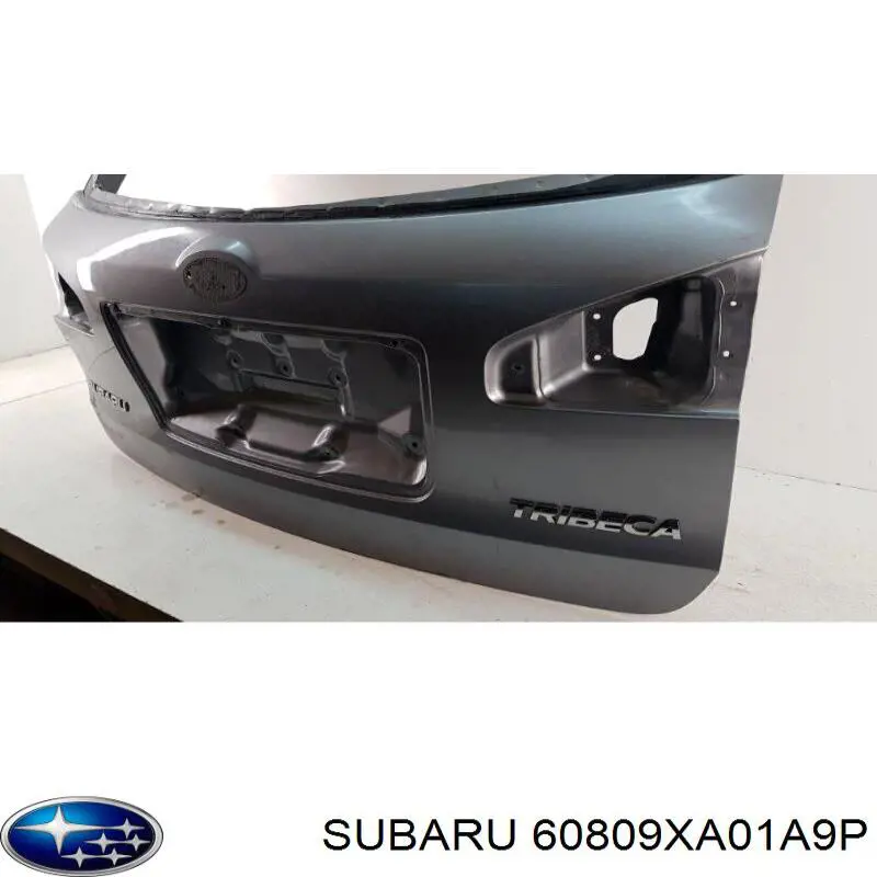 60809XA01A9P Subaru 