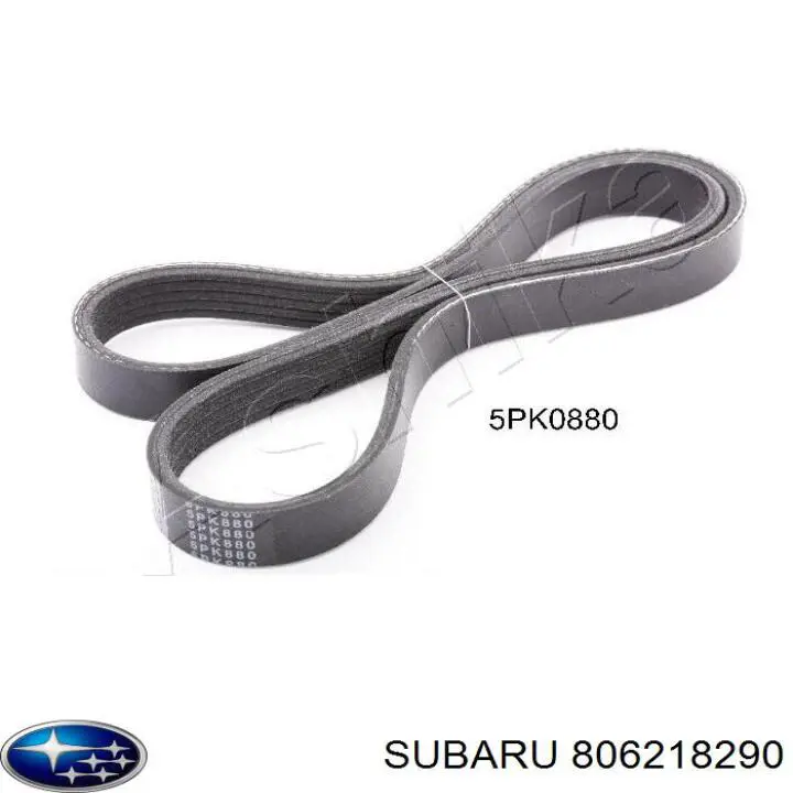  806218290 Subaru