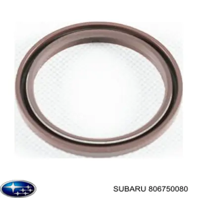 Заспокоювач ланцюга ГРМ, лівий Subaru 806750080 ціна, від 7.90 USD
