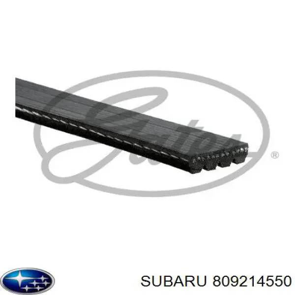 Клиновий ремінь Subaru 809214550 ціна, від 7.14 USD