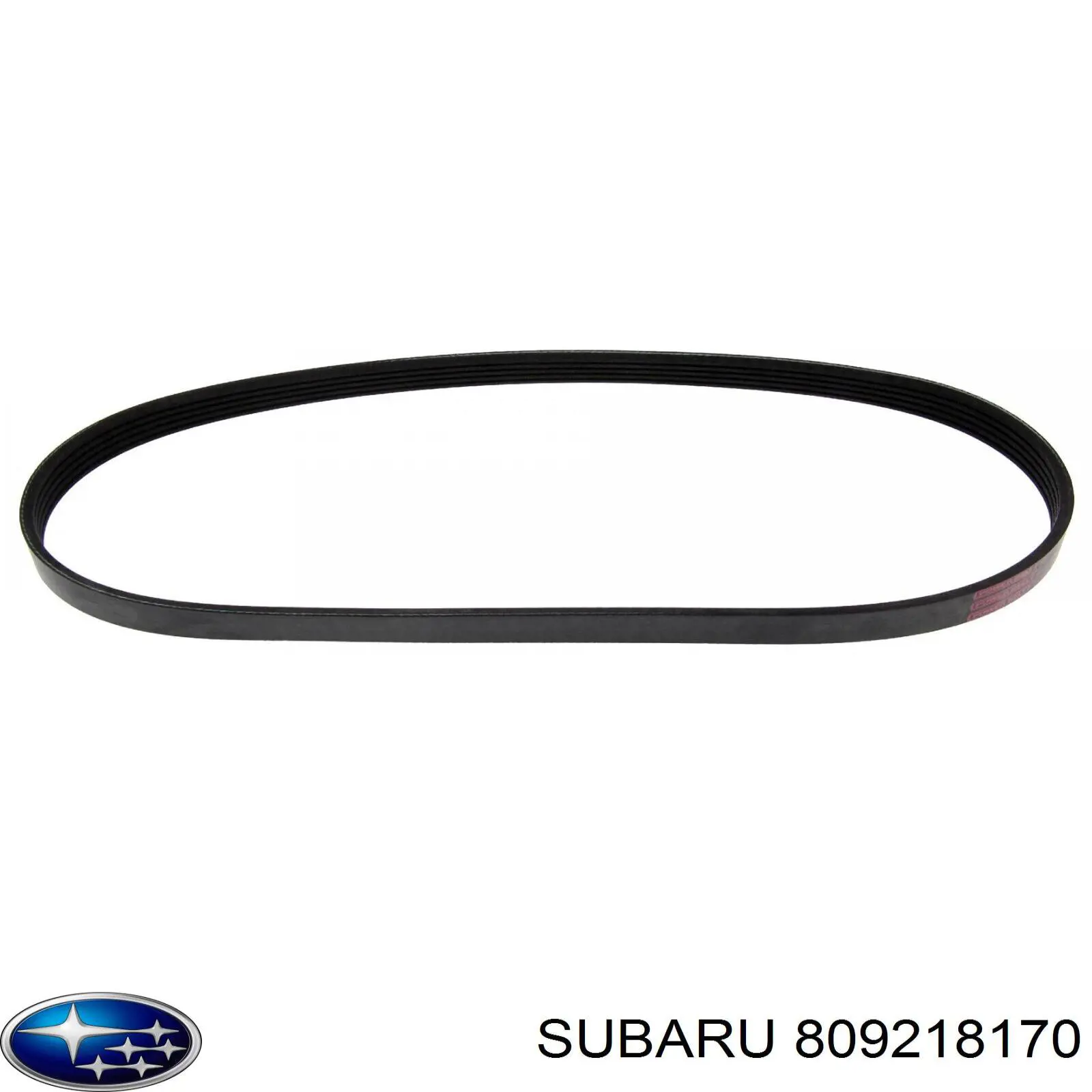 Ремінь генератора 809218170 Subaru