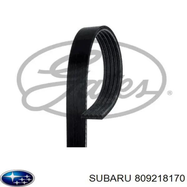 Купити 809218170 Subaru Ремінь генератора