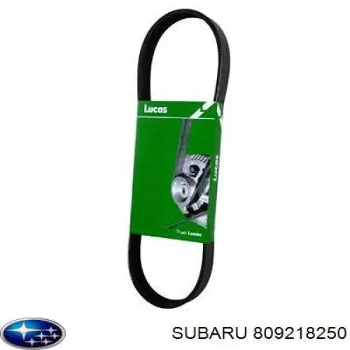 Ремінь генератора 809218250 Subaru