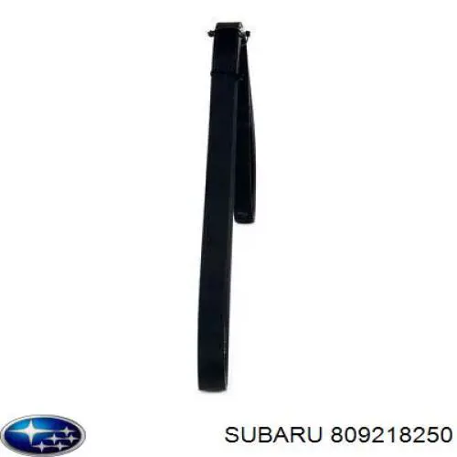 Ремінь кондиціонера Subaru 809218250