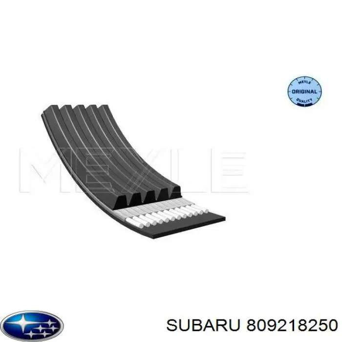 Клиновий ремінь Subaru 809218250 ціна, від 6.62 USD