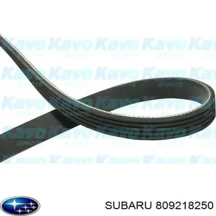 Купити 809218250 Subaru Ремінь генератора