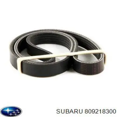 Клиновий ремінь Subaru 809218300 ціна, від 7.33 USD