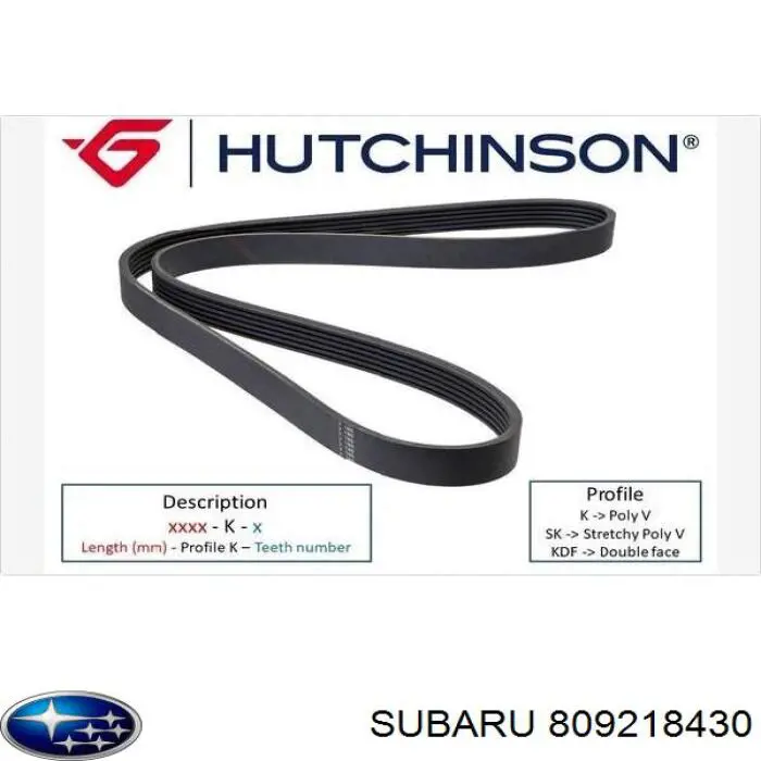 Купити 809218430 Subaru Ремінь генератора