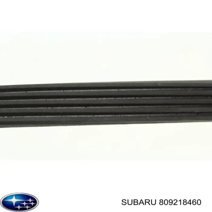 Купити 809218460 Subaru Ремінь генератора