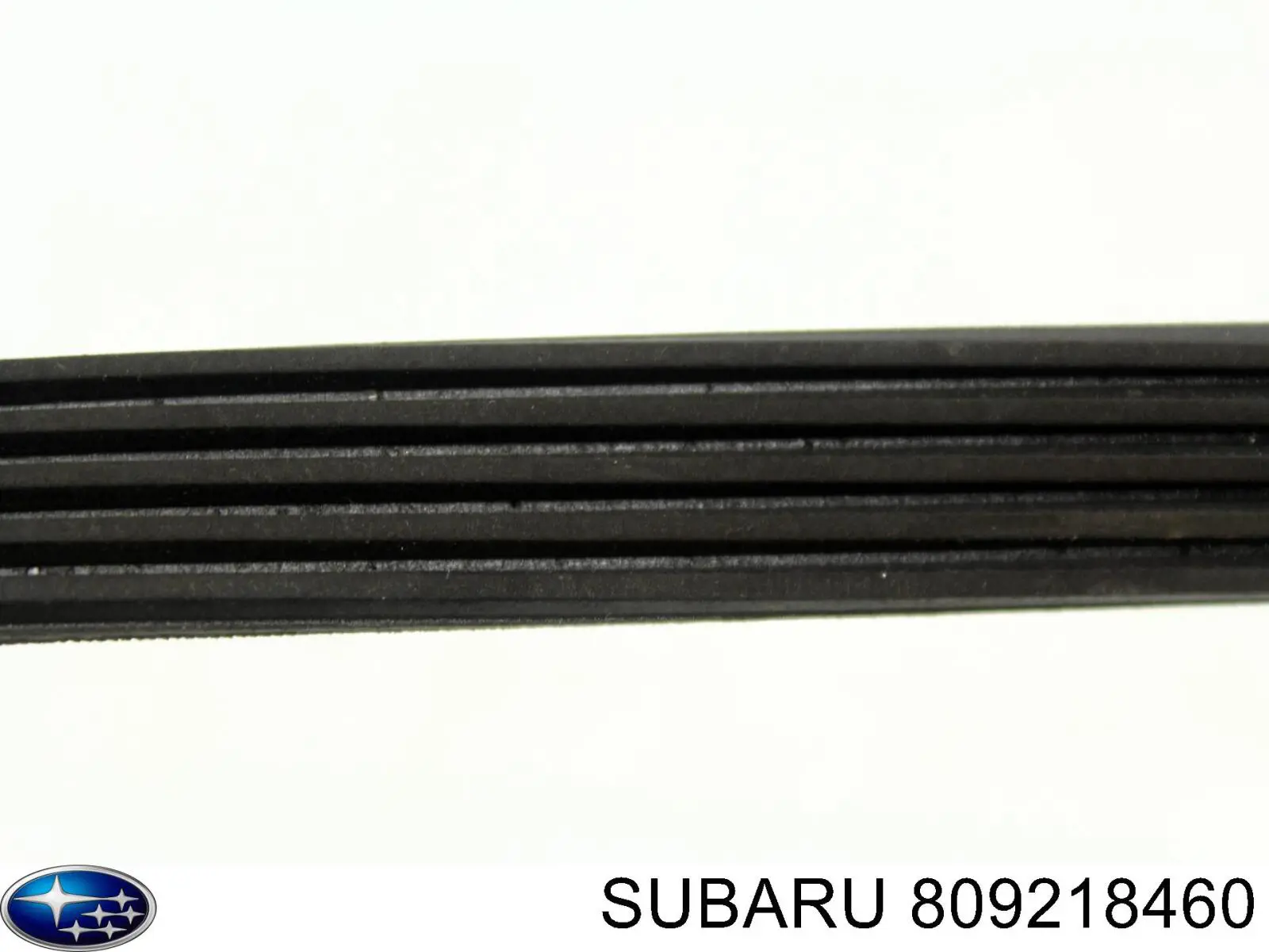 Клиновий ремінь Subaru 809218460 ціна, від 5.76 USD
