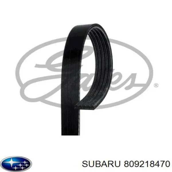 Купити 809218470 Subaru Ремінь генератора