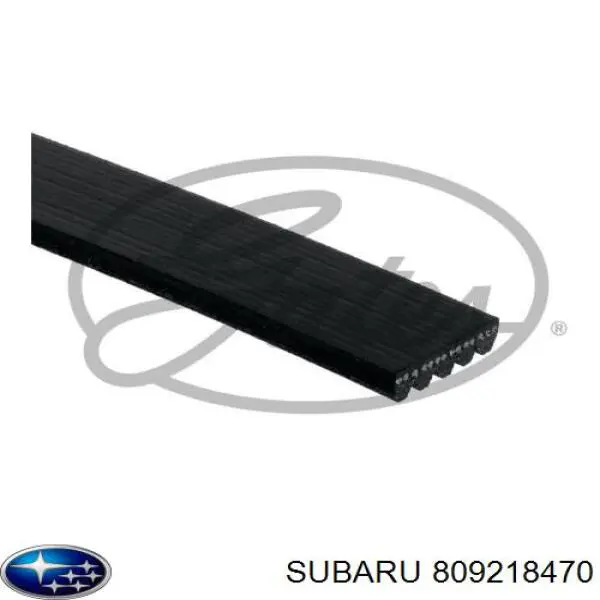 Ремінь генератора 809218470 Subaru