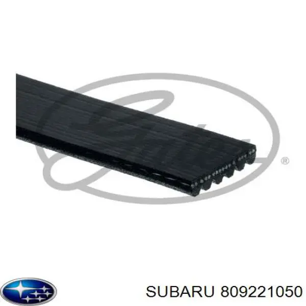 Клиновий ремінь Subaru 809221050 ціна, від 14.81 USD
