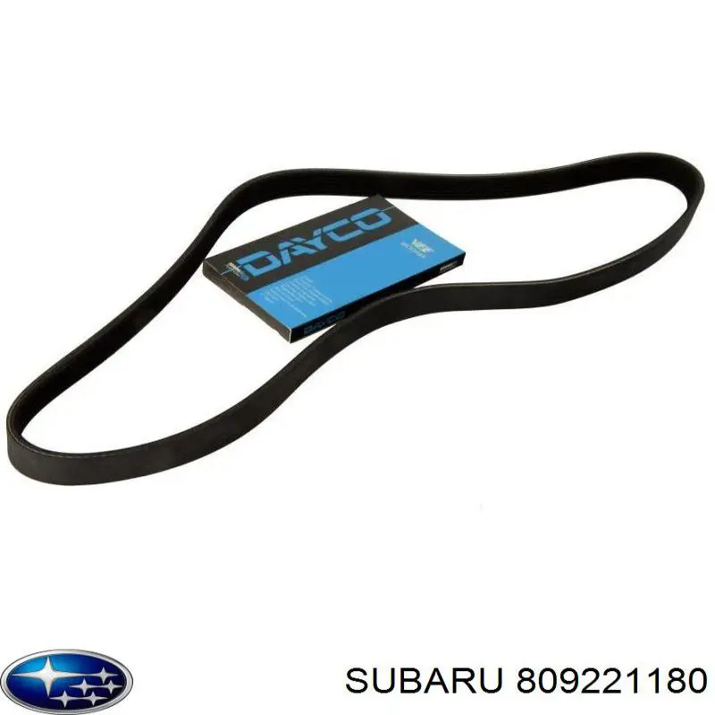  809221180 Subaru