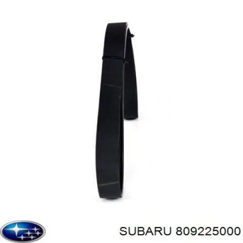 809225000 Subaru Поліклиновий ремінь
