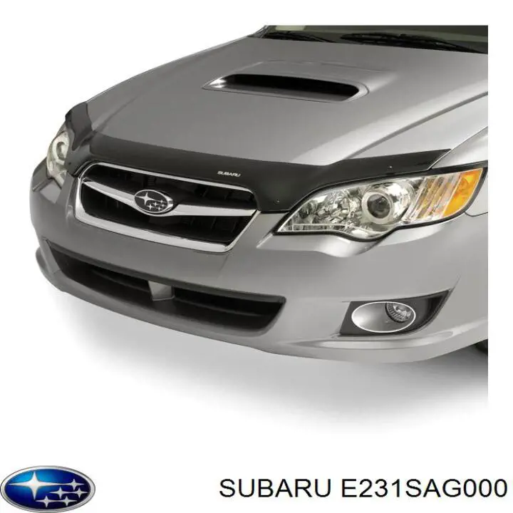 Купити E231SAG000 Subaru Захист капота