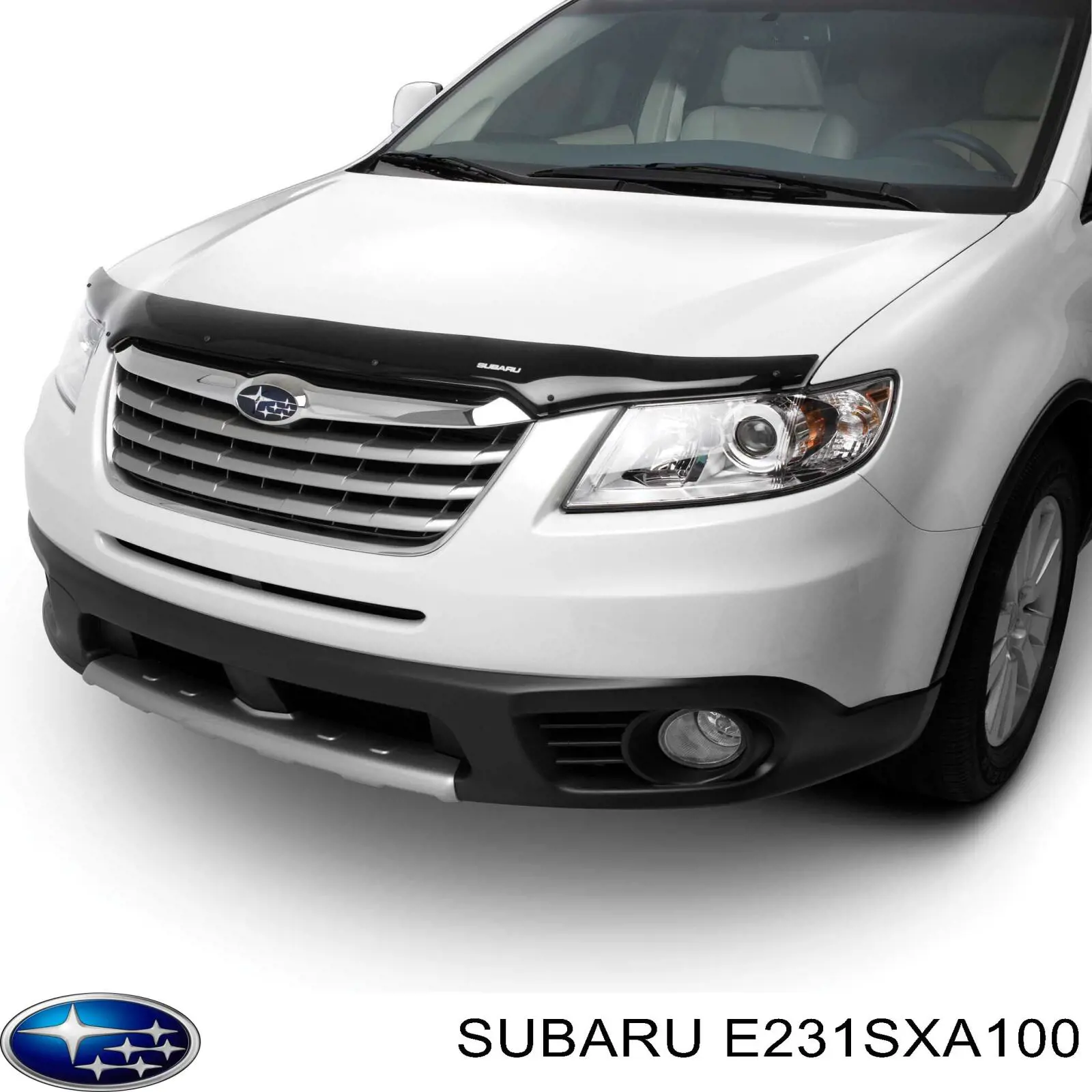 E231SXA100 Subaru Спойлер капота